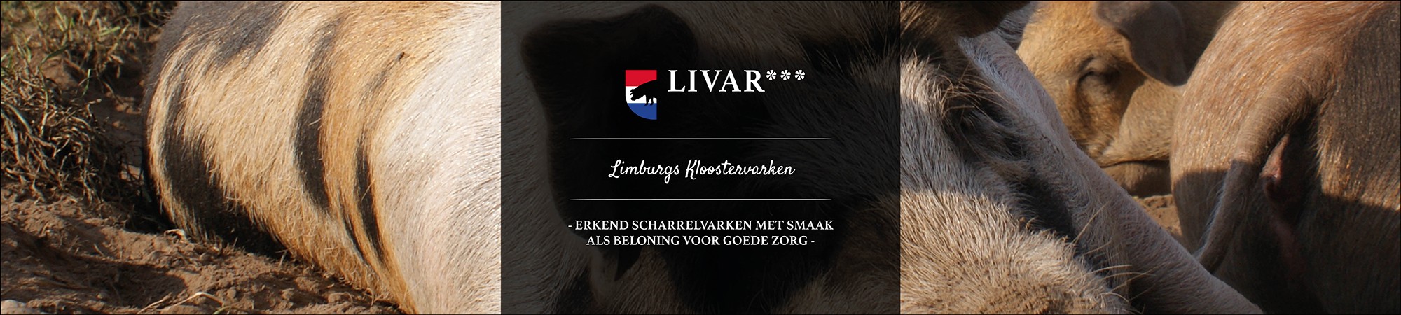 LIVAR*** NLD