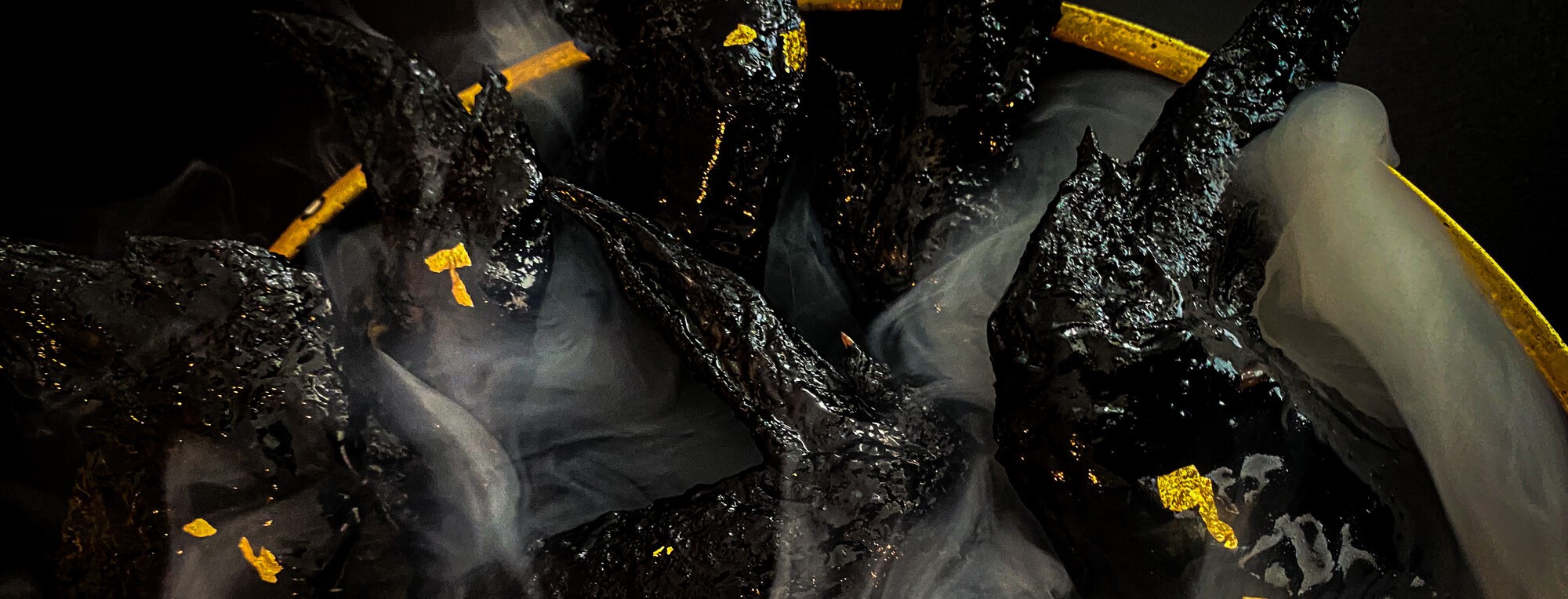 Black Bat Wings